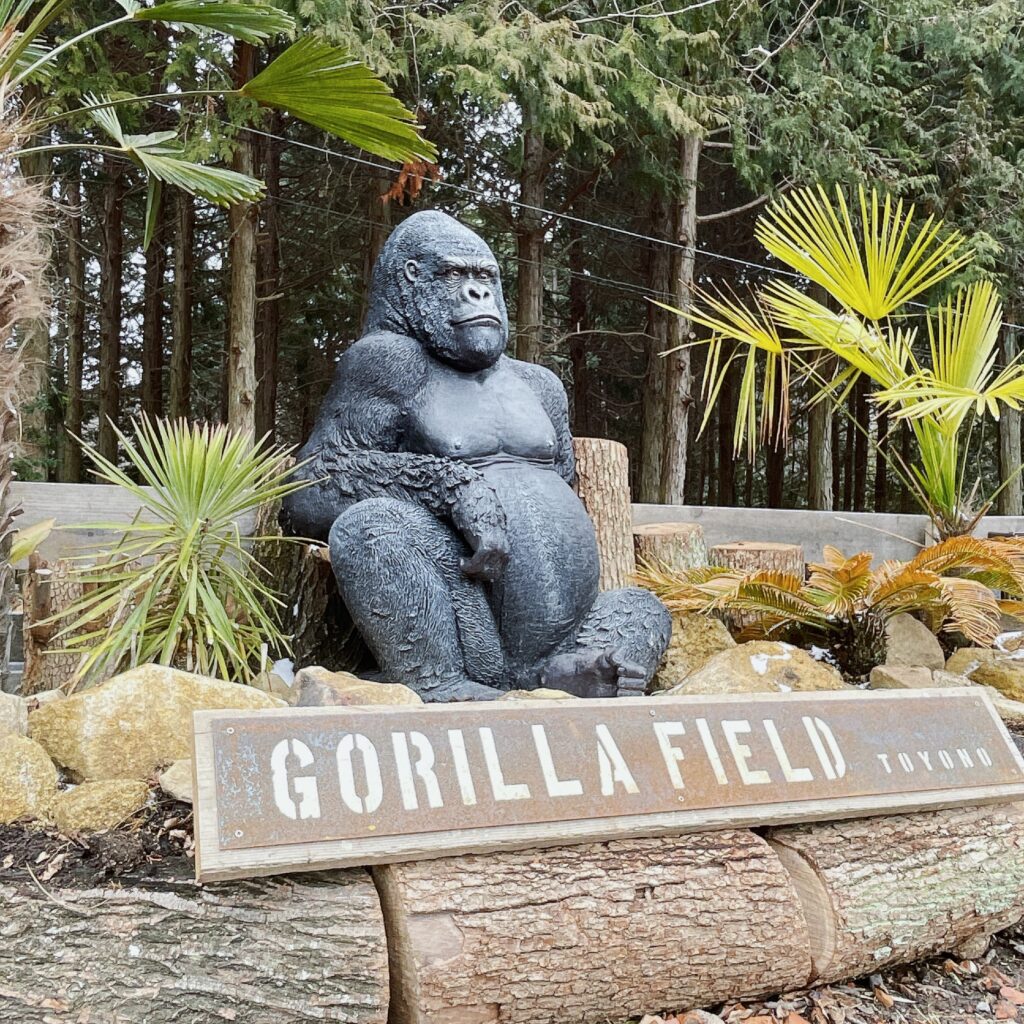 大阪府】GORILLA FIELD TOYONO - キャンプのHOW TO ONE SECOND